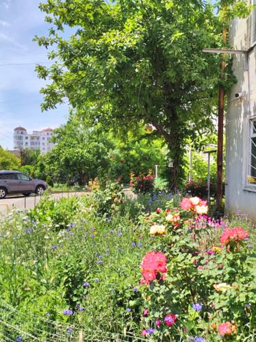 Квартира На Островского
