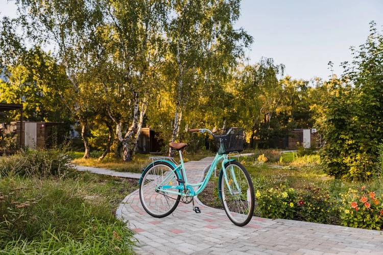 Балтийские Холмы