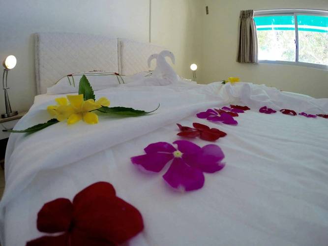 Luau Beach Inn