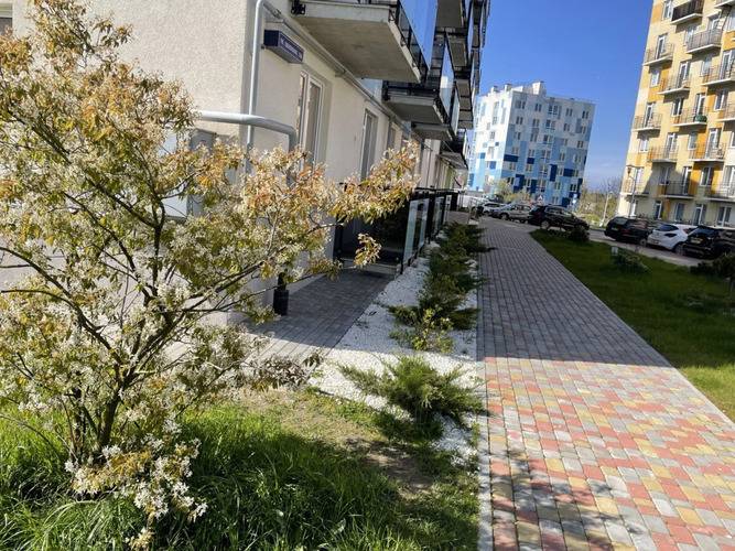 Квартира Малина
