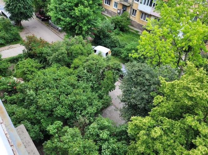 Квартира У Моря В Балтийске