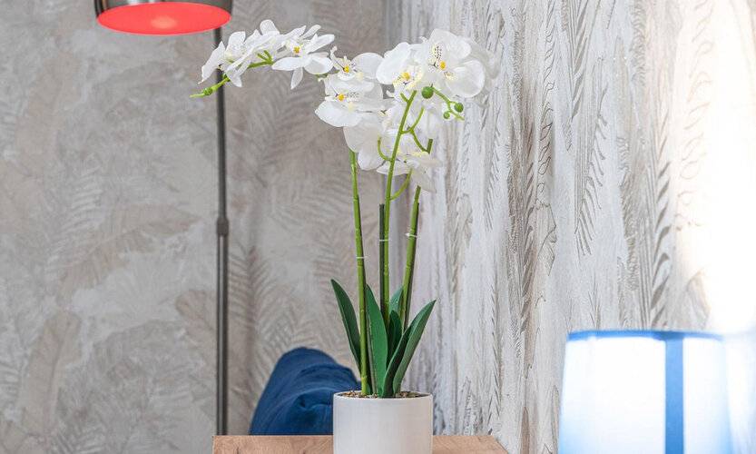 Posutochno One Days На Улице Роз 82 — фото 5