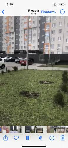Апартаменты Янтарь