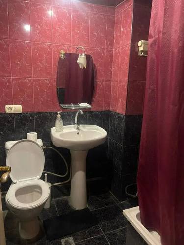 Апартаменты Perte House Apartment's On Pushkin 43 Street