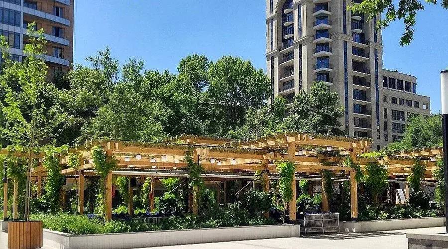 Квартира Уютная Квартира Рядом С Парком Сизнс В Центре Еревана