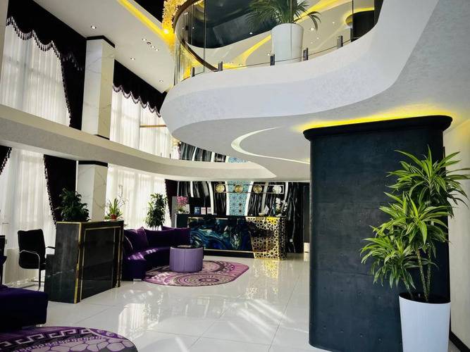 Отель Novza Palace