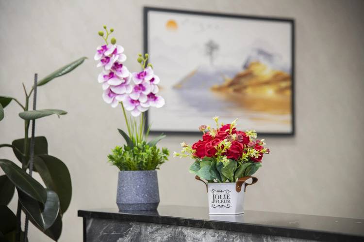 Отель Art Home