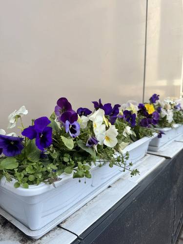 Апартаменты Nest One With A Terrace