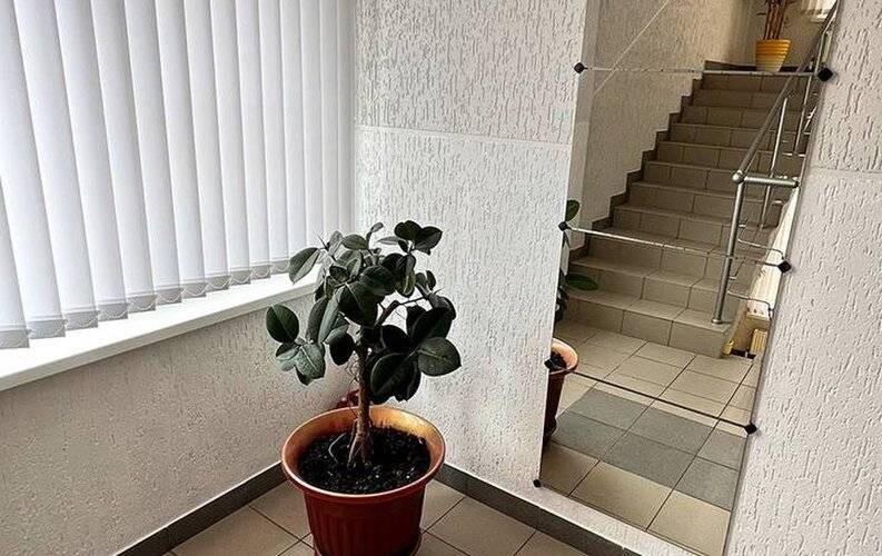 Дон