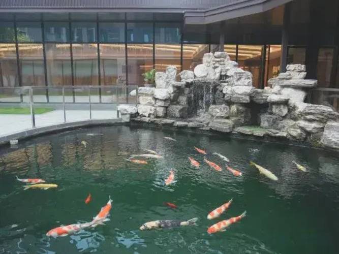 Holiday Inn Beijing Daxing Movie Park By Ihg