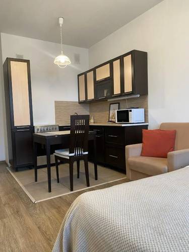 Квартира Comfort Studio Airoport