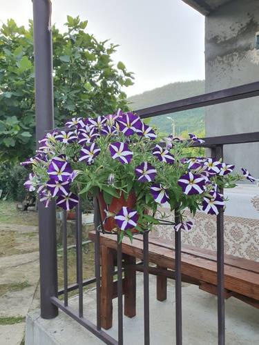 Гостевой Дом Абаза