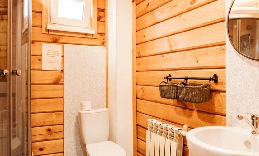 Медведь И Ягодка