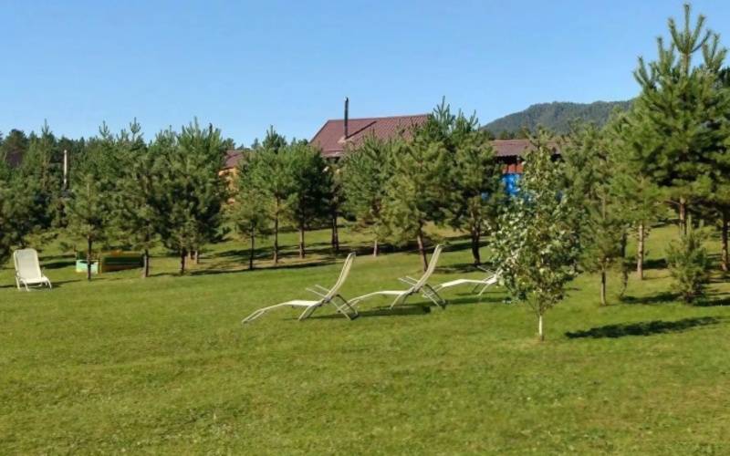 Радость