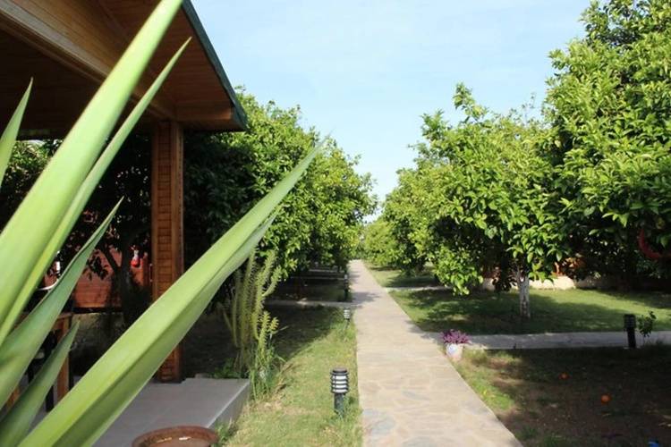 Merhaba Hotel Bungalows Cirali