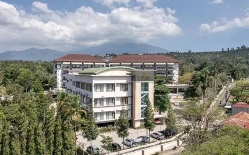 The Green Peak Artotel Curated