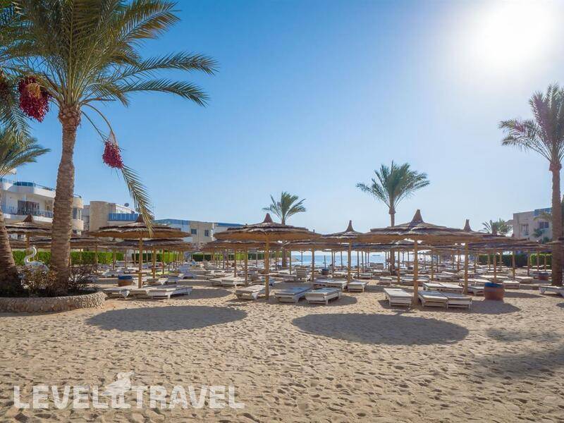 Фотография Seagull Beach Resort