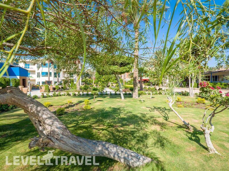 Фотография Seagull Beach Resort