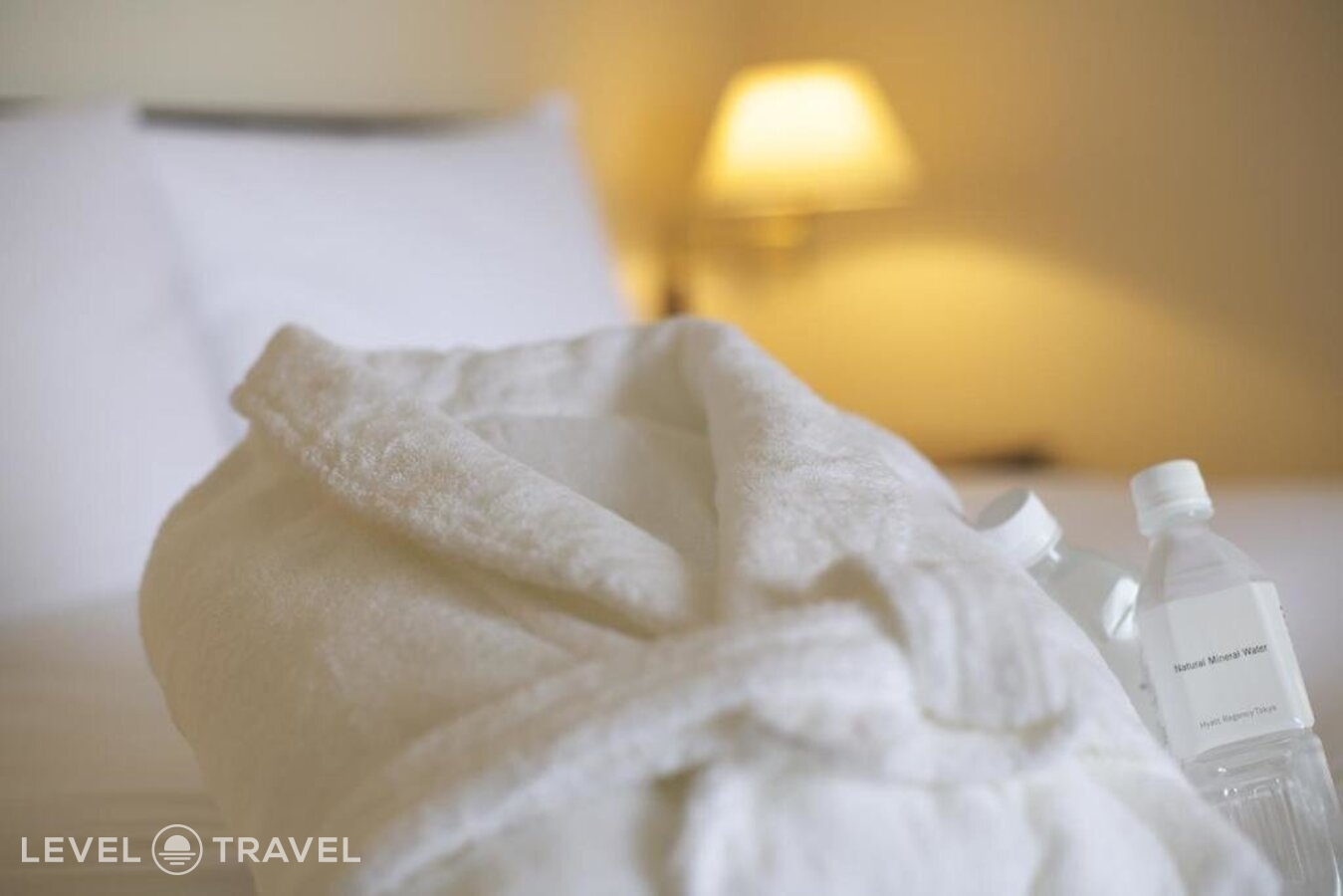 фотографии номера Делюкс с видом на город (две односпальные кровати) отеля Hyatt Regency Tokyo в Япония(Токио) - фото №6