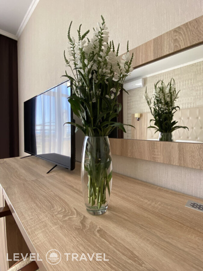 Двухместный номер Standard с балконом и beachfront двуспальная кровать — фото 7