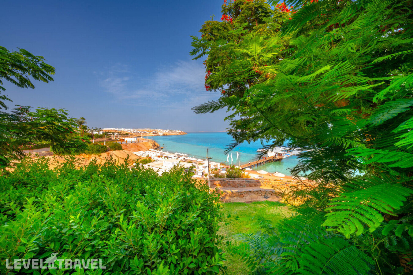 фотографии номера Делюкс отеля Domina Coral Bay Aquamarine Beach в Египет(Корал Бэй) - фото №4