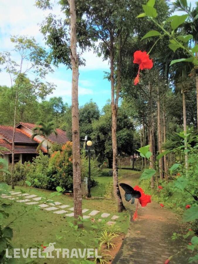 фотографии номера Вилла с видом на горы отеля The Garden House Phu Quoc в Вьетнам(Фукуок) - фото №4