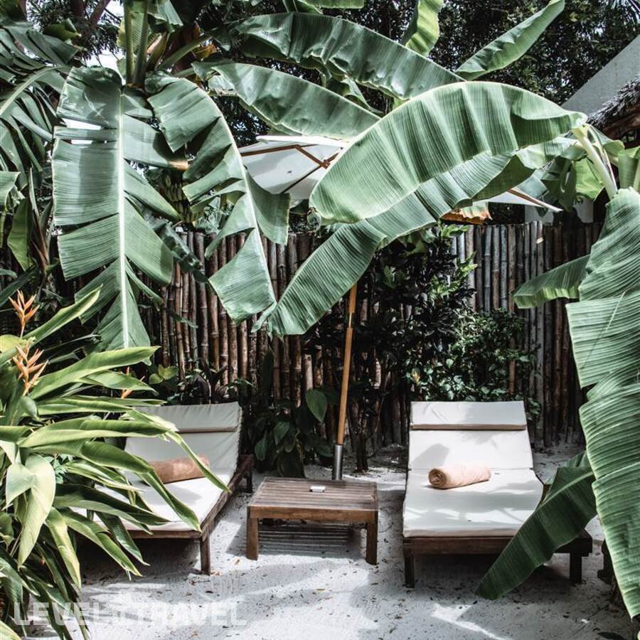 фотографии номера Четырехместный Cinnamon отеля White Sand Luxury Villa в Танзания(Паже) - фото №1