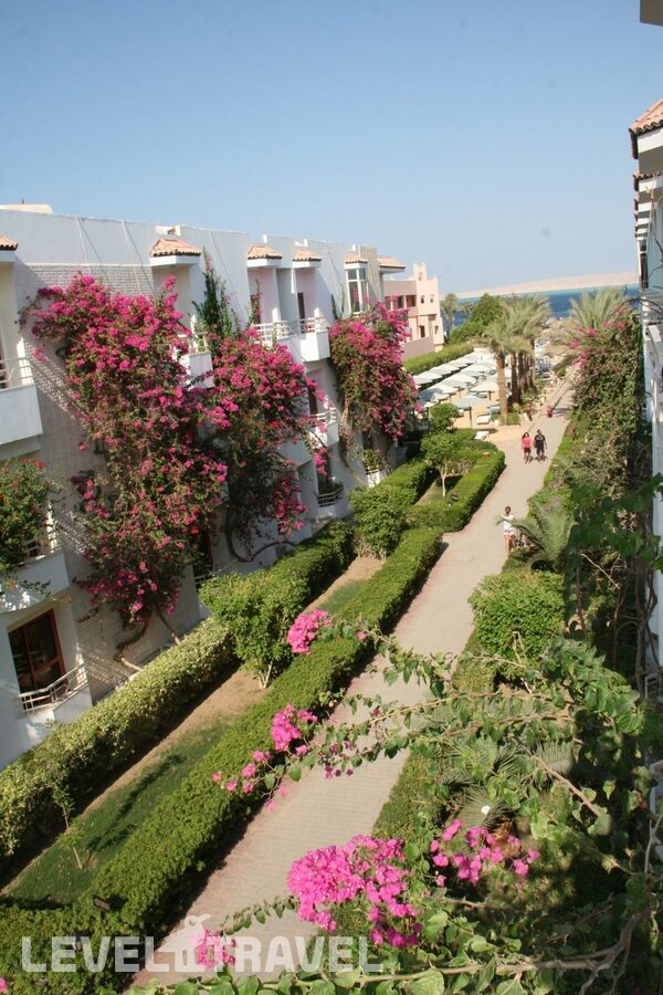 фотографии номера Стандартный с видом на море отеля Minamark Resort & Spa (Ex. Minamark Beach Resort) в Египет(Хургада (город)) - фото №8