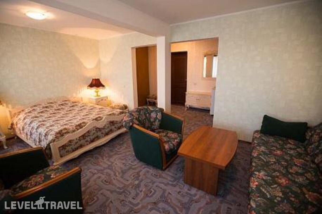 фотографии номера Номер эконом с 1 двуспальной кроватью, 2 категория отеля Звезда Жигулей в Россия(Тольятти) - фото №3