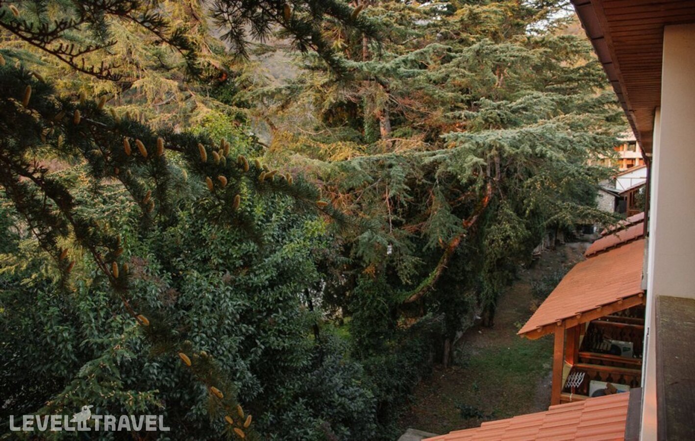фотографии номера Улучшенный с балконом отеля Гостиница Абаата в Абхазия(Гагра) - фото №33