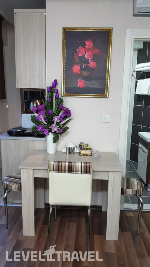 фотографии номера Студия Deluxe с видом на город отеля Beyazithan Suites в Турция(Фатих) - фото №4