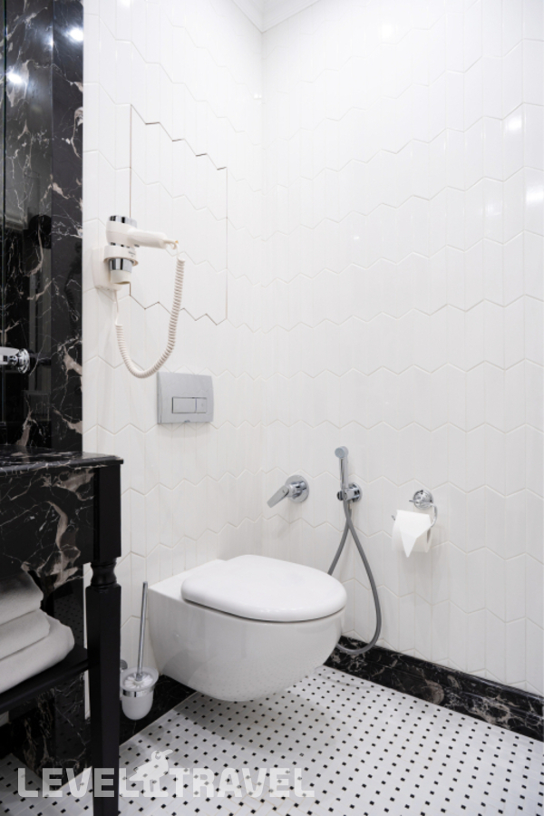фотографии номера Двухместный номер Royal Deluxe двуспальная кровать отеля Dionis Art Apartments в Россия(Центральный район) - фото №7