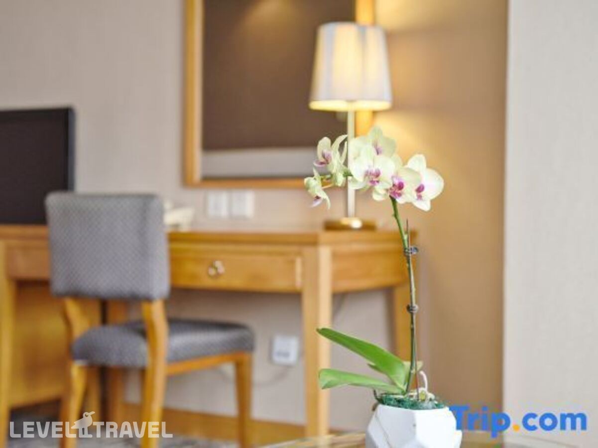 фотографии номера Двухместный номер VIP Business 2 отдельные кровати отеля Baiyun Hotel Guangzhou в Китай(Гуанчжоу) - фото №9