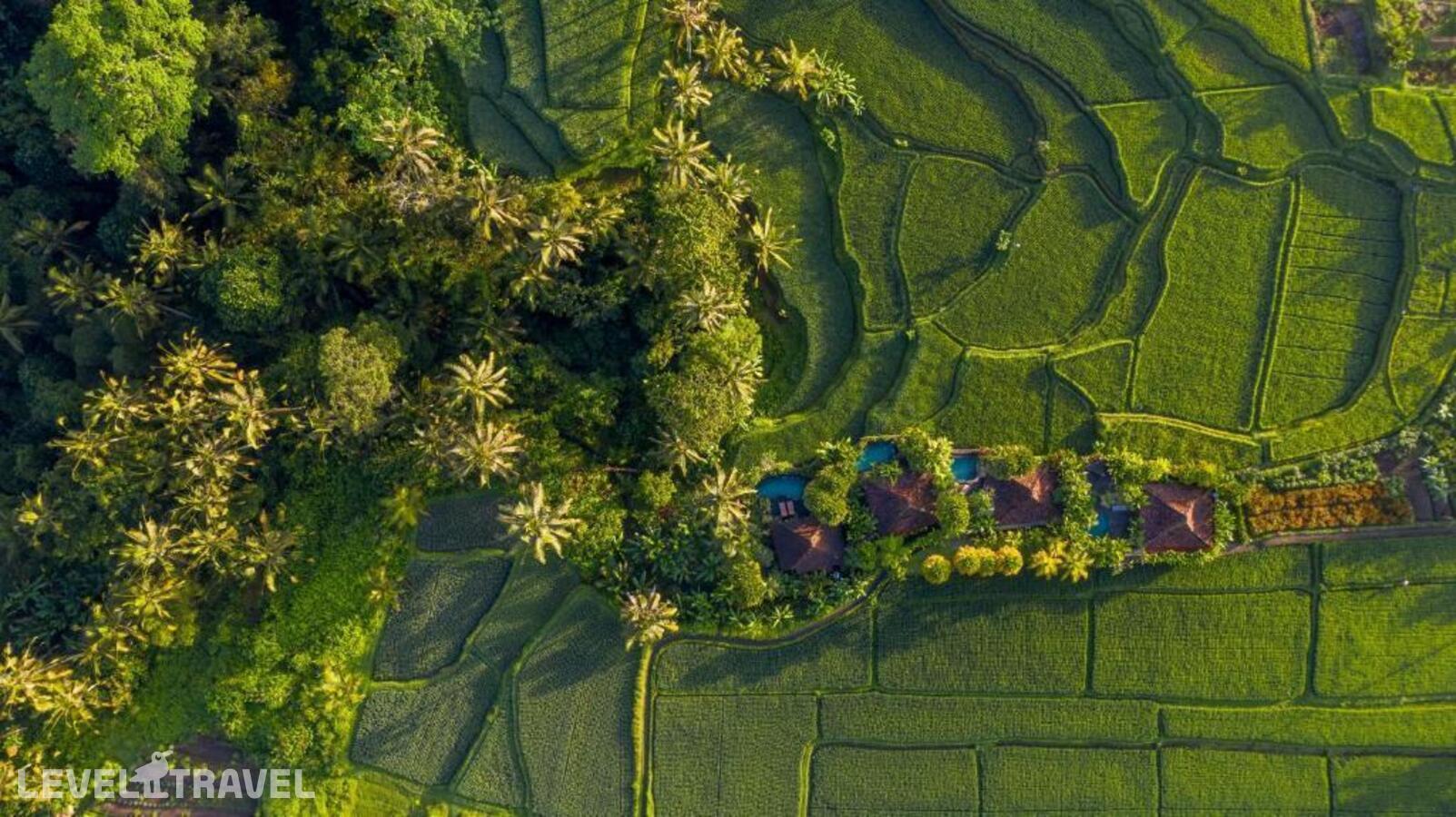 фотографии номера Вилла отеля Madani Antique Villas в Индонезия(Убуд) - фото №23