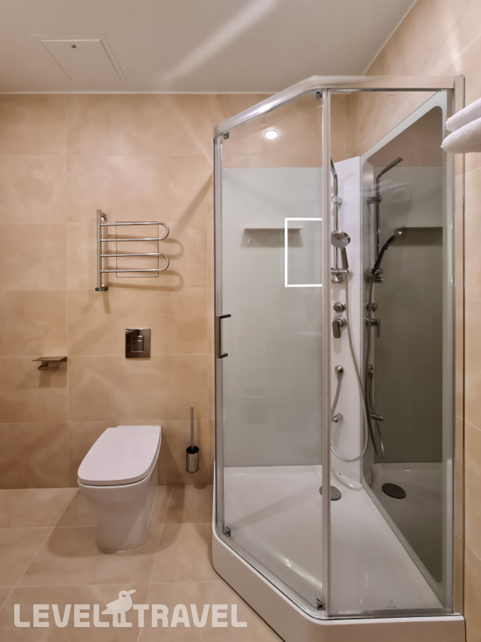 фотографии номера Двухместный номер Comfort Plus двуспальная кровать отеля Ирониум в Россия(Центральный административный округ (ЦАО)) - фото №5