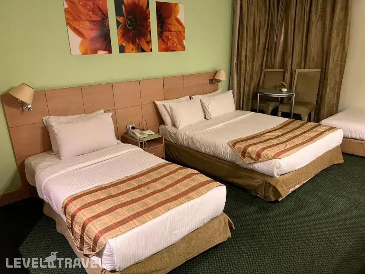 фотографии номера Делюкс отеля Santana Hotel в Египет(Гиза) - фото №1