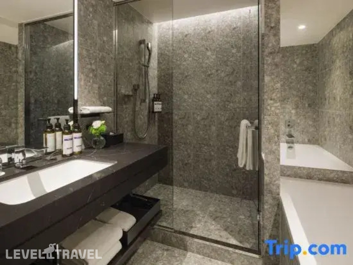 фотографии номера Двухместный номер Deluxe с видом на парк 2 отдельные кровати отеля Hyatt Regency Tokyo в Япония(Токио) - фото №13