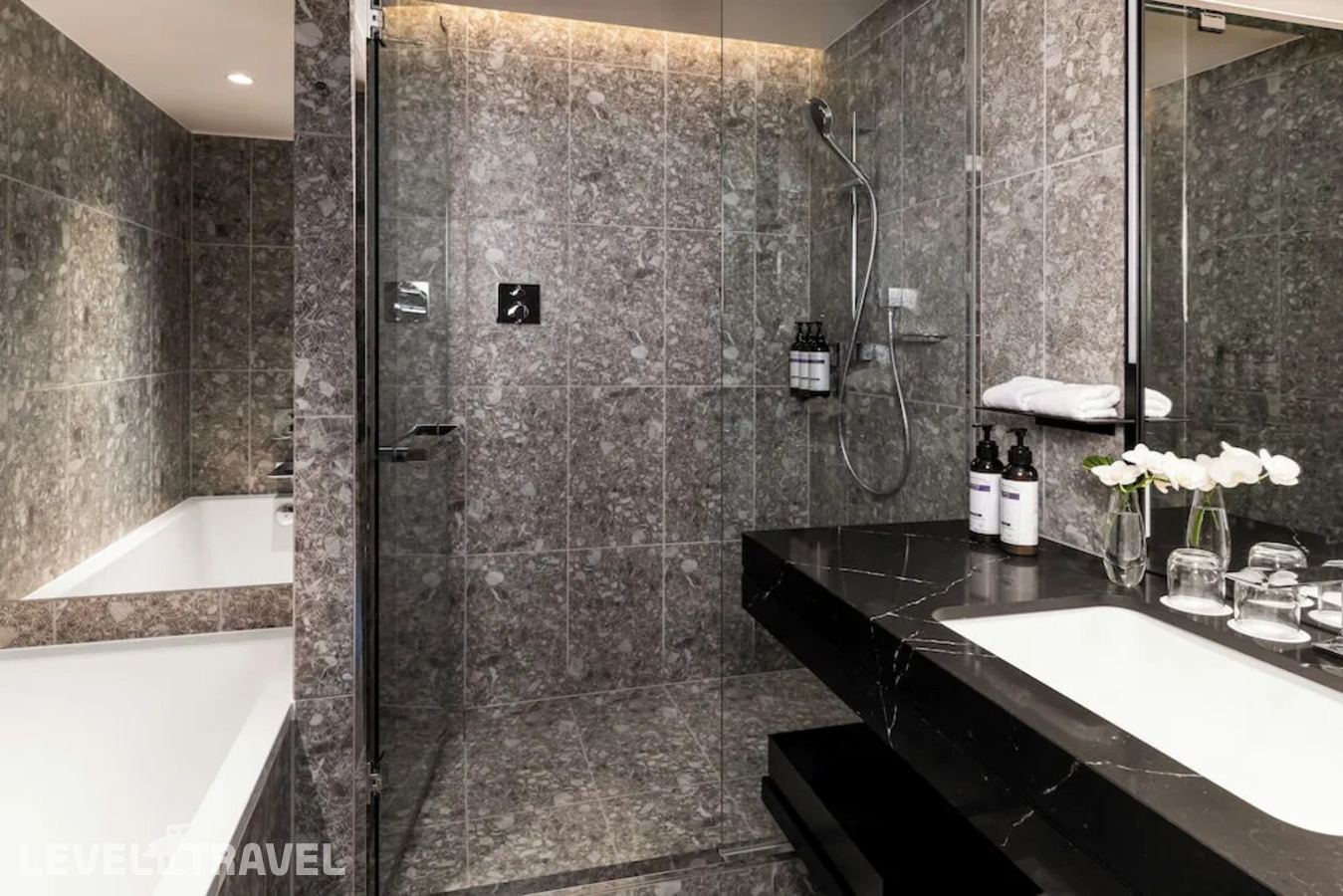 фотографии номера Двухместный номер Deluxe с видом на парк 2 отдельные кровати отеля Hyatt Regency Tokyo в Япония(Токио) - фото №7