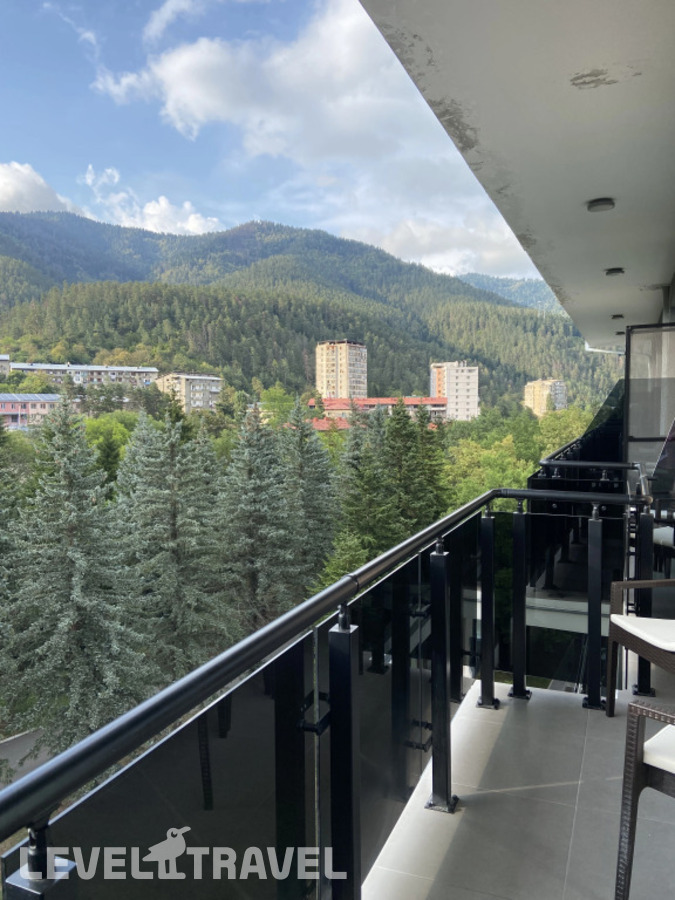 фотографии номера Стандартный номер отеля Borjomi Likani Health & Spa Centre в Грузия(Боржоми) - фото №4
