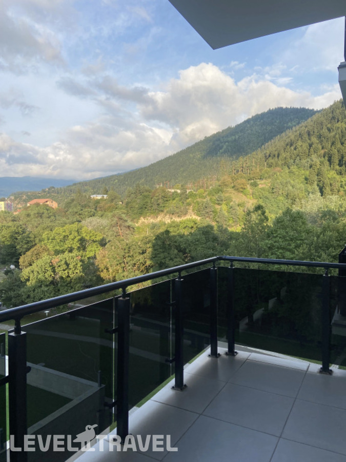 фотографии номера Представительский люкс отеля Borjomi Likani Health & Spa Centre в Грузия(Боржоми) - фото №5