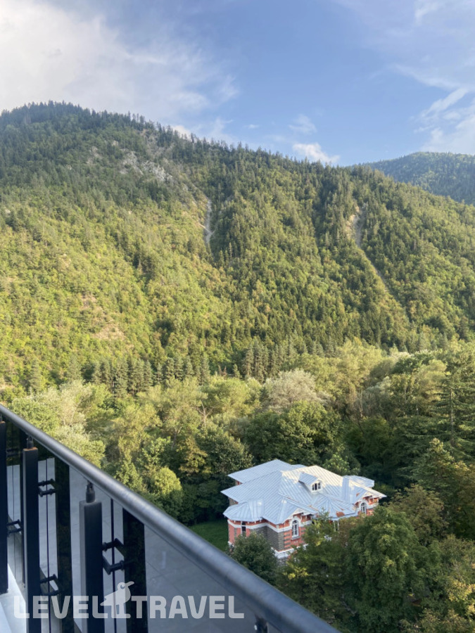 фотографии номера Люкс президентский отеля Borjomi Likani Health & Spa Centre в Грузия(Боржоми) - фото №6