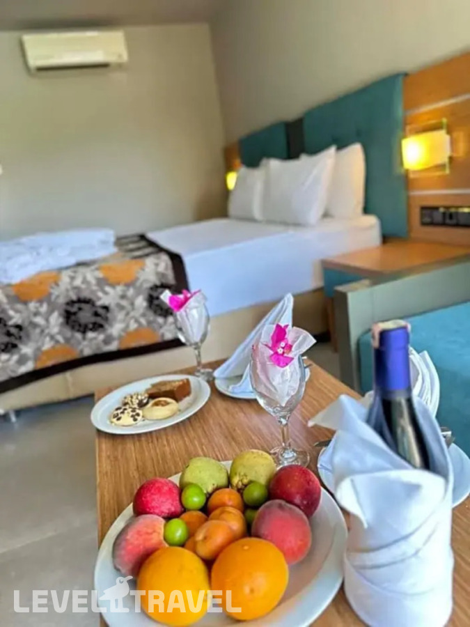 фотографии номера Стандартный с видом на сад отеля Ambrosia Hotel в Турция(Битез) - фото №13