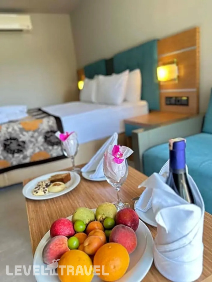 фотографии номера Стандартный с видом на сад отеля Ambrosia Hotel в Турция(Битез) - фото №7