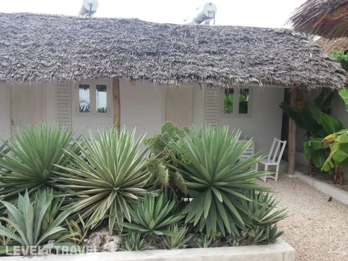 фотографии номера Стандартный с видом на сад отеля The Loop Beach Resort в Танзания(Джамбиани) - фото №3