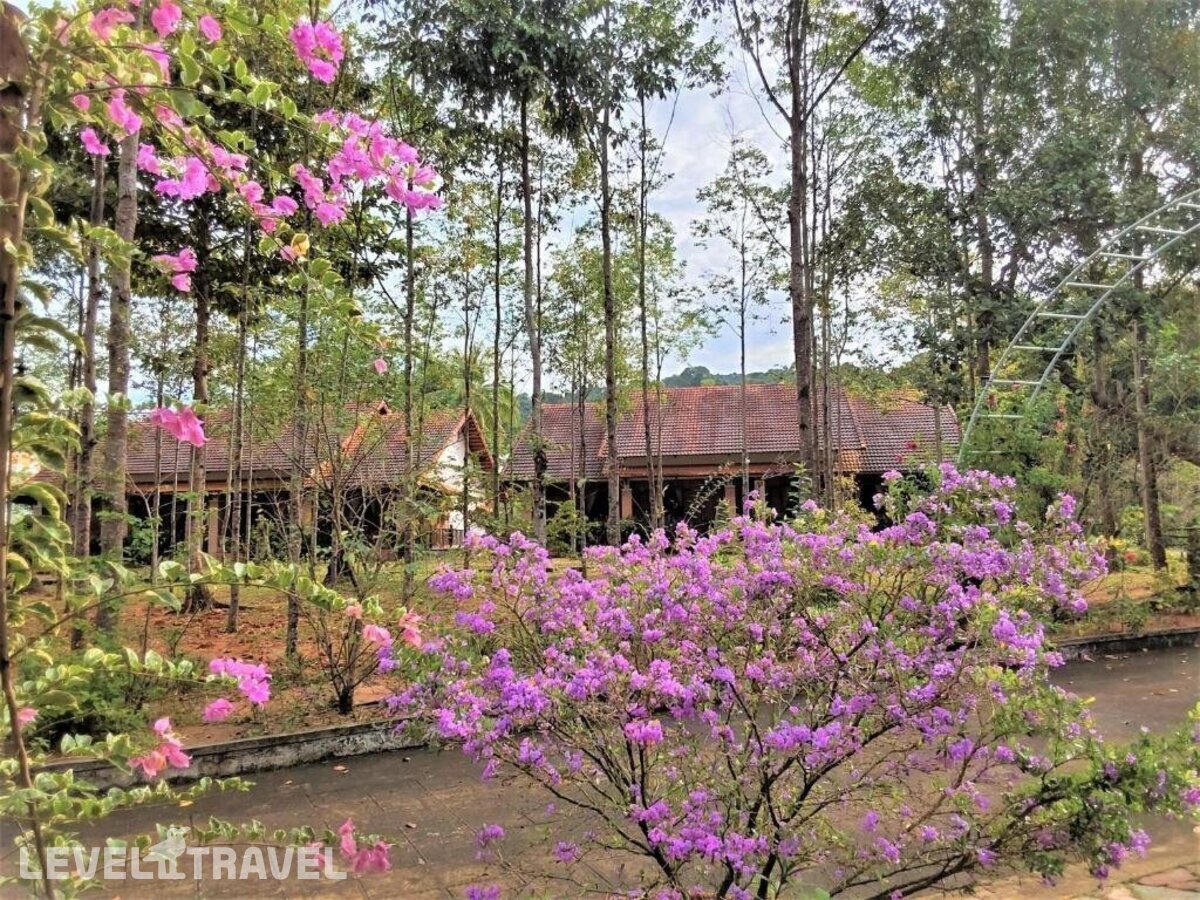 фотографии номера Семейный номер отеля The Garden House Phu Quoc в Вьетнам(Фукуок) - фото №3