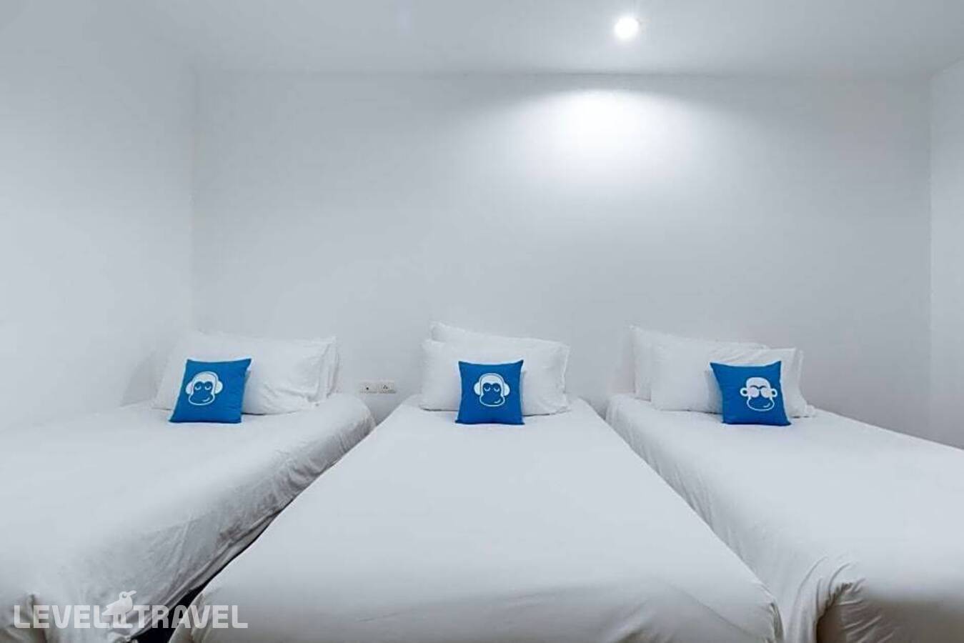 фотографии номера Улучшенный номер отеля Blu Monkey Hostel в Таиланд(город Пхукет) - фото №44