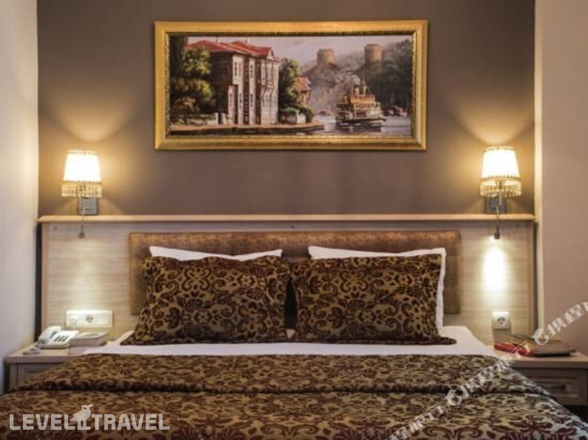 фотографии номера Стандартный номер отеля Tashkonak Hotel Istanbul в Турция(Фатих) - фото №17