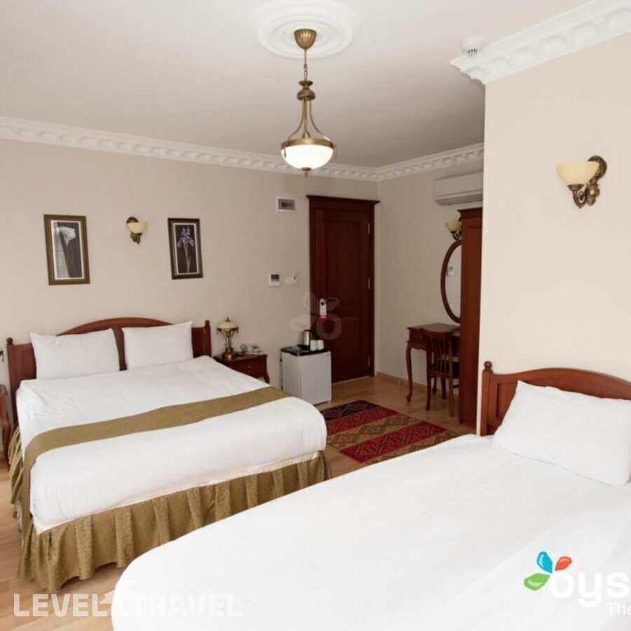 фотографии номера Семейный номер отеля Basileus Hotel в Турция(Фатих) - фото №1