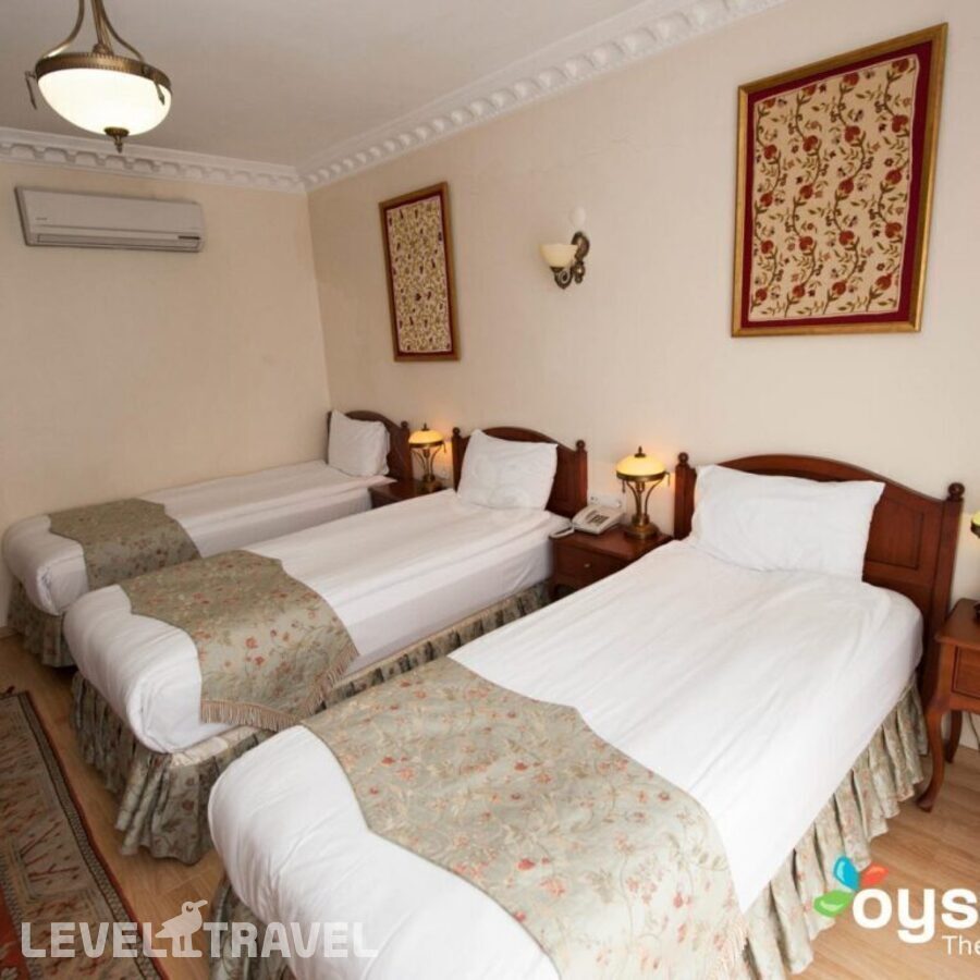 фотографии номера Экономичный номер отеля Basileus Hotel в Турция(Фатих) - фото №1