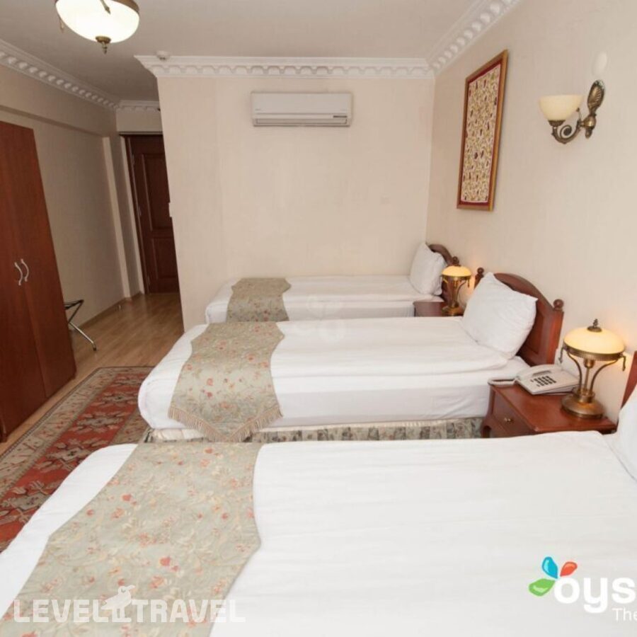 фотографии номера Экономичный номер отеля Basileus Hotel в Турция(Фатих) - фото №6